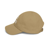 Load image into Gallery viewer, #1 Dad Hat, Father's Day Gift , Embroidered Baseball Cap, Dad Birthday Gift, New Dad Gift, Papa Hat, Gift for Father