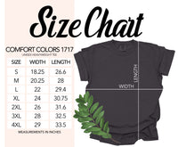 Load image into Gallery viewer, size chart Comfort colors 1717